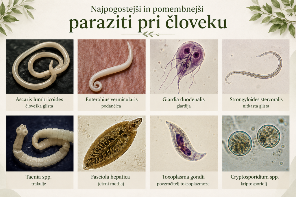 najpogostejši praziti