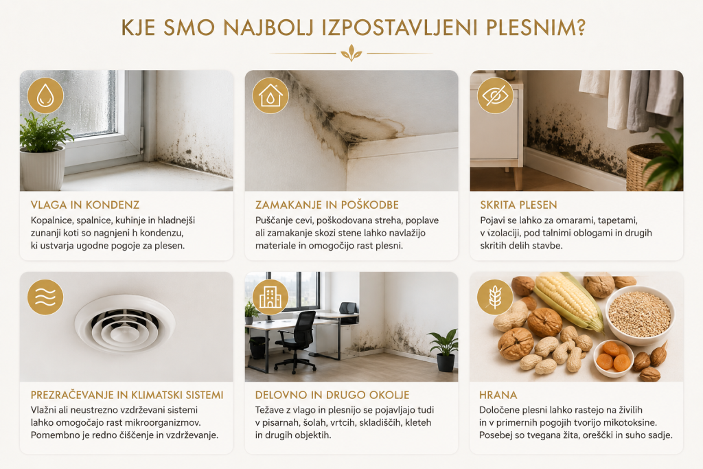 izpostavljenost plesni