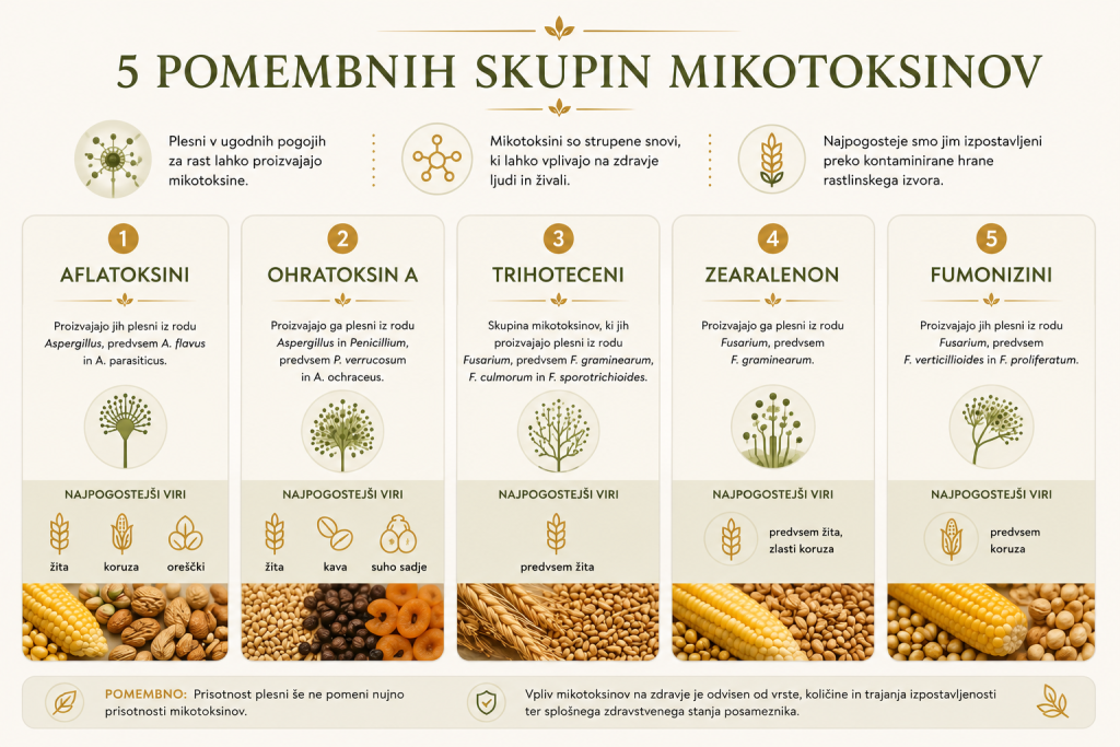 Aflatoksini, ohratoksin A, trihoteceni, zearalenon in fumonizini – pomembni mikotoksini v hrani
